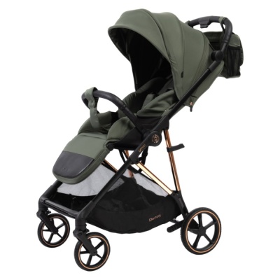 Прогулочная коляска Peppy Amici Green рама Gold (LX) 01